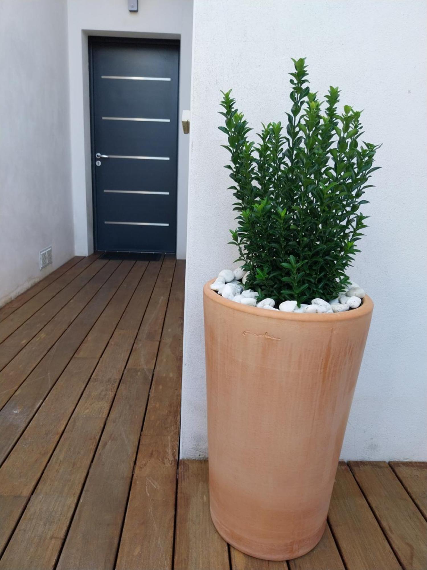 Studio Cocon Enea Bidart, Terrasse Et Parking Exterior photo